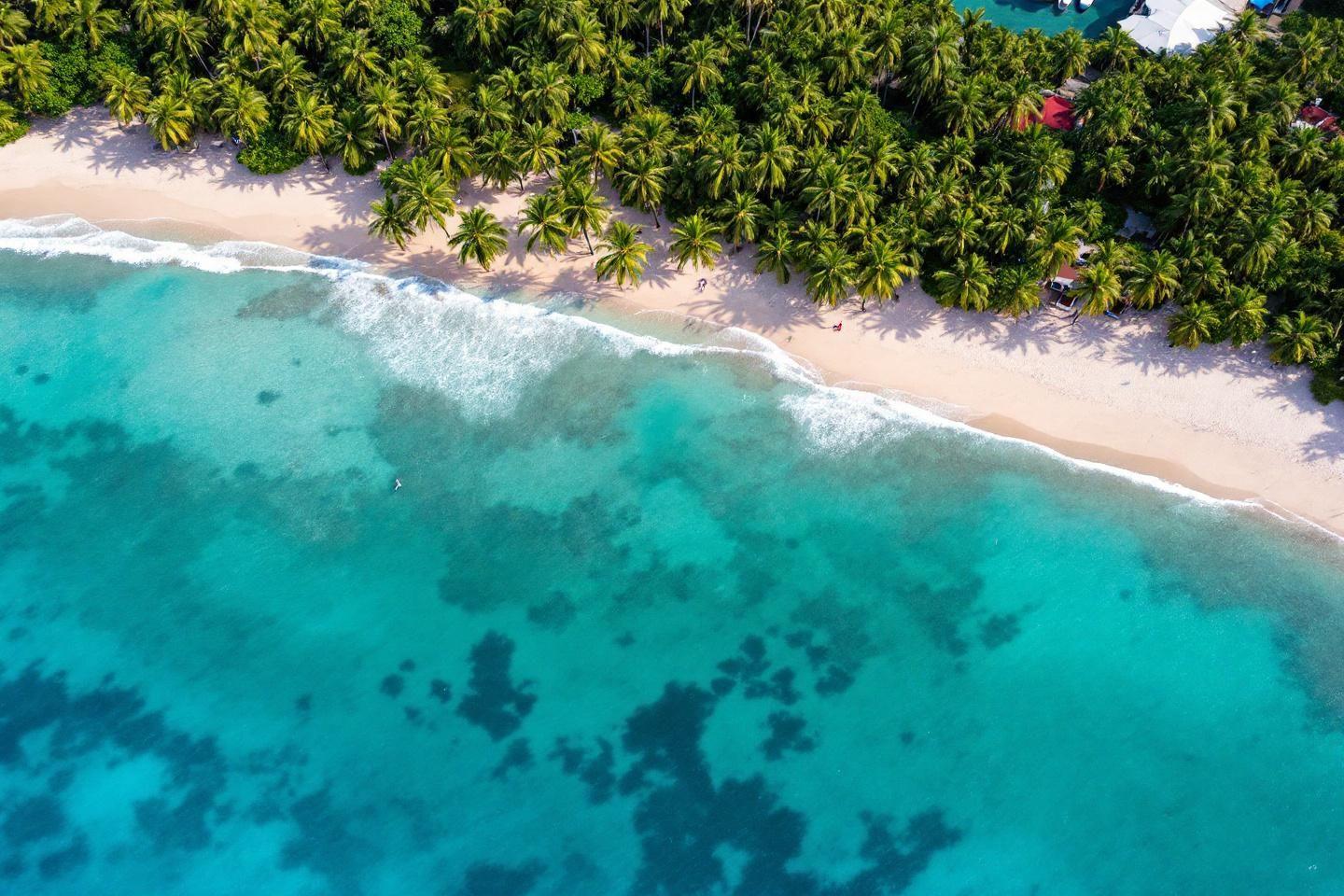Voyage en Martinique 2025 : top 10 des incontournables à découvrir sur l'île aux fleurs