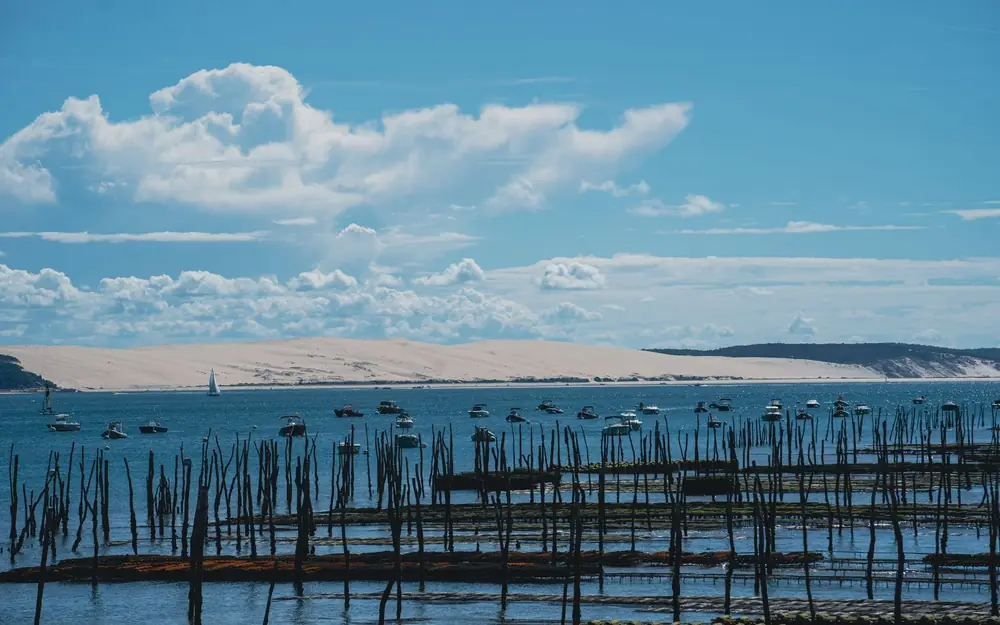 Le bassin d'Arcachon
